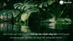 Feliz Homes 365 Ngày Thanh Khiết