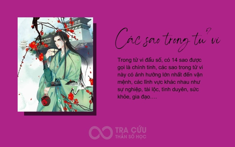 các sao trong tử vi