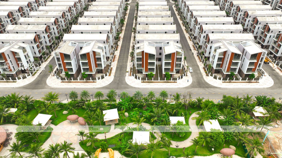 đơn lập Ánh Dương